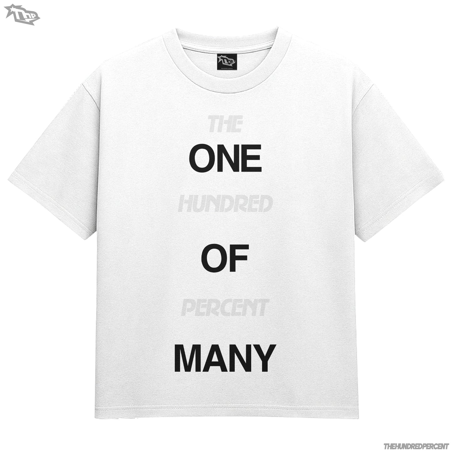 THP Brace Yo Flaws Shirt Brace Yo Flaws | Streetwear Tee | Viral Website Fashion | Premium Quality | Regular Fit | Trendy Graphic Shirt
