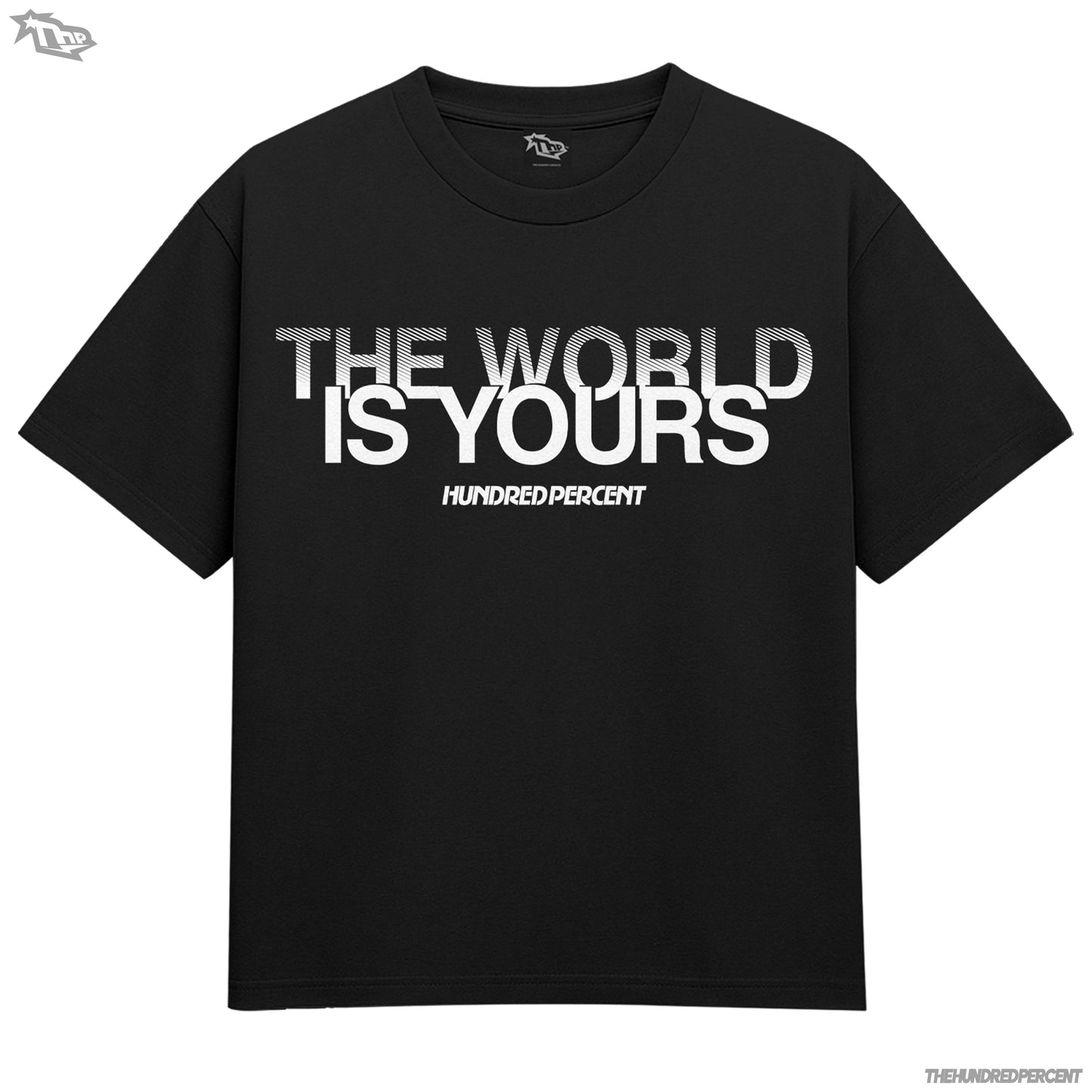 THP Brace Yo Flaws Shirt Brace Yo Flaws | Streetwear Tee | Viral Website Fashion | Premium Quality | Regular Fit | Trendy Graphic Shirt